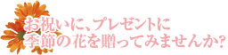 お祝いに、プレゼントに季節の花を贈ってみませんか？